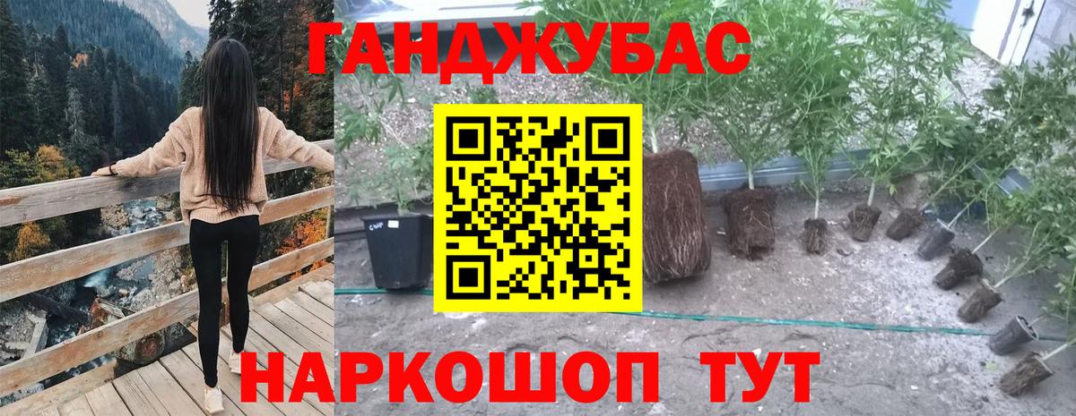 Каннабис план Домодедово
